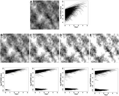 Elimination of Image Saturation Effects on Multifractal Statistics Using the 2D WTMM Method